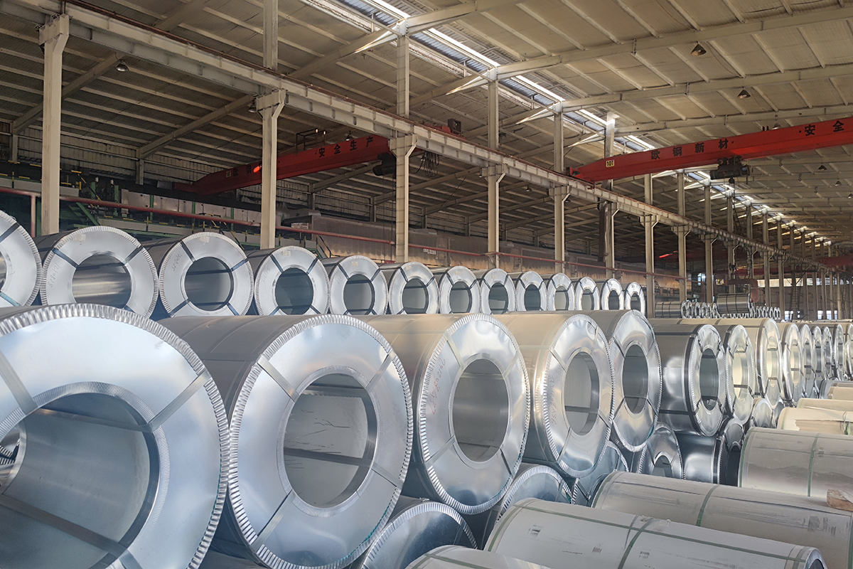 MVIMG 20241211 154428